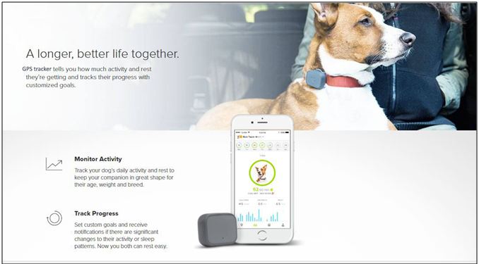 Ten Reasons Why You Should Track Your Dog with GPS Tracker Device