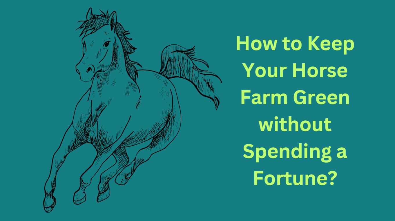 How to Keep Your Horse Farm Green without Spending a Fortune?